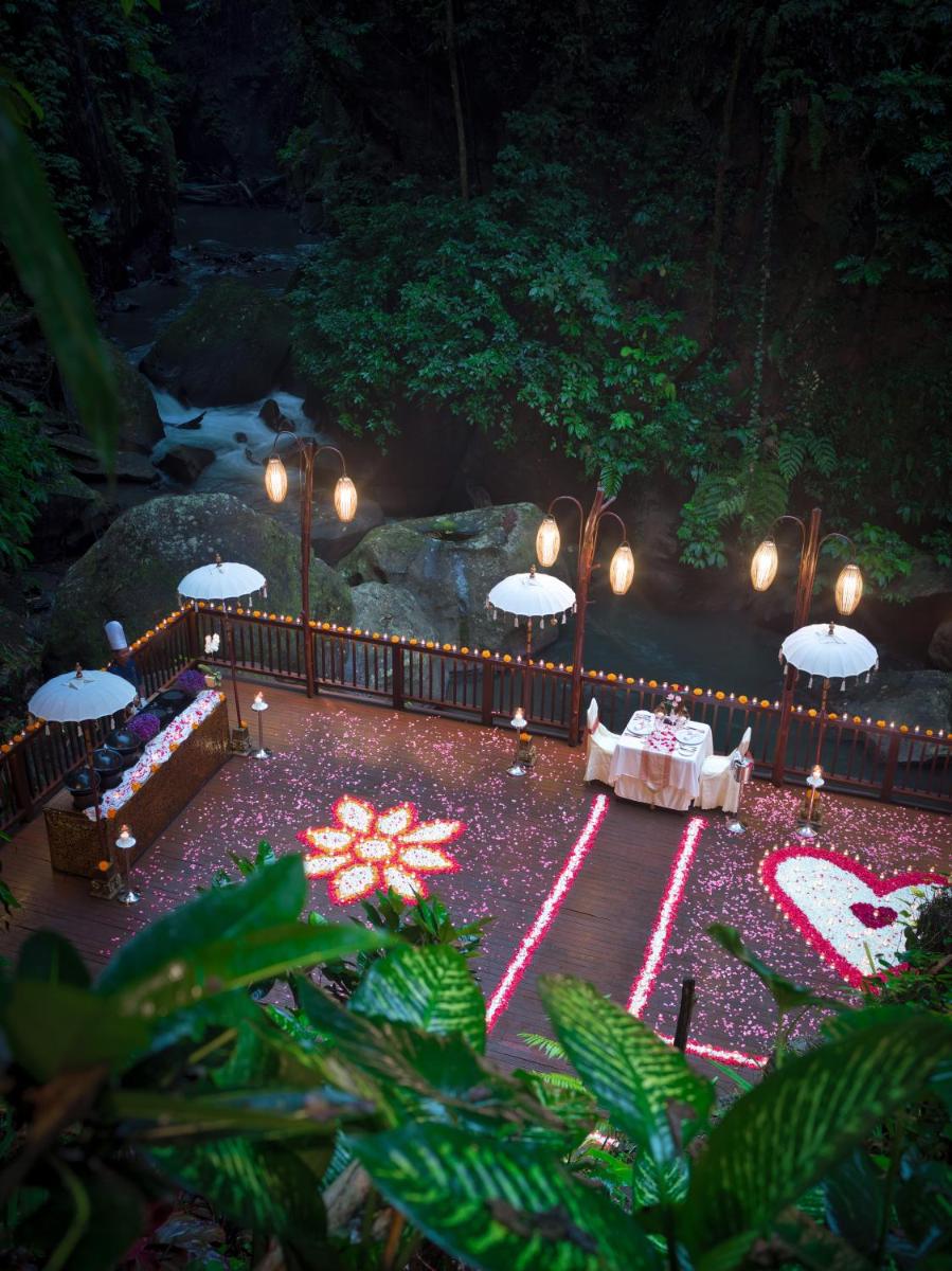 Nandini Jungle by Hanging Gardens