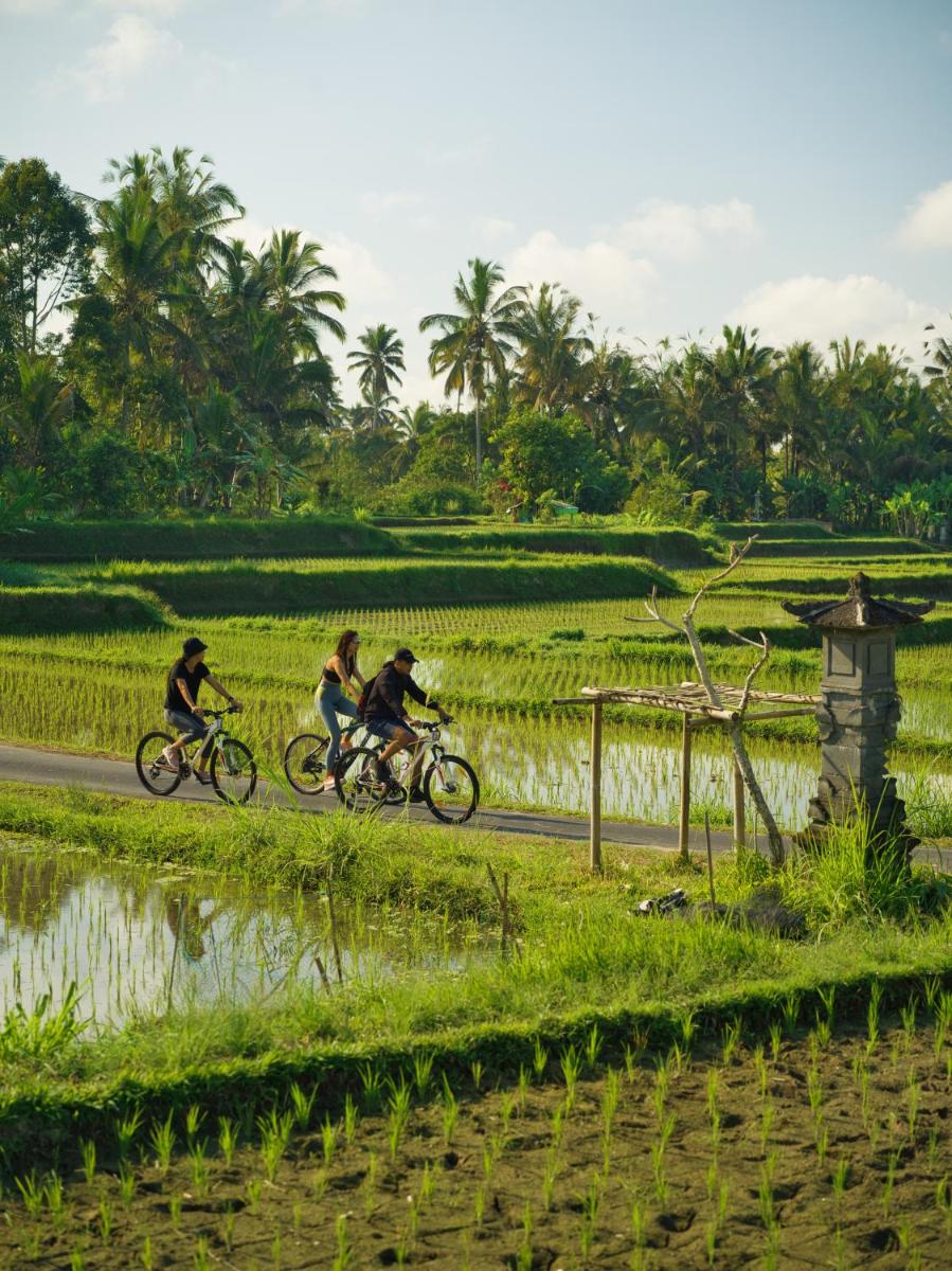 Nandini Jungle by Hanging Gardens