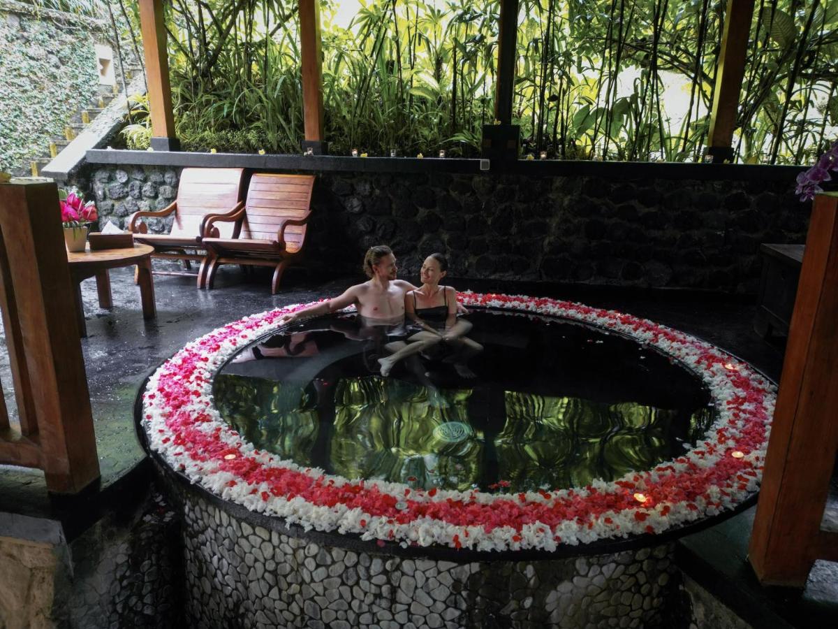 Nandini Jungle by Hanging Gardens