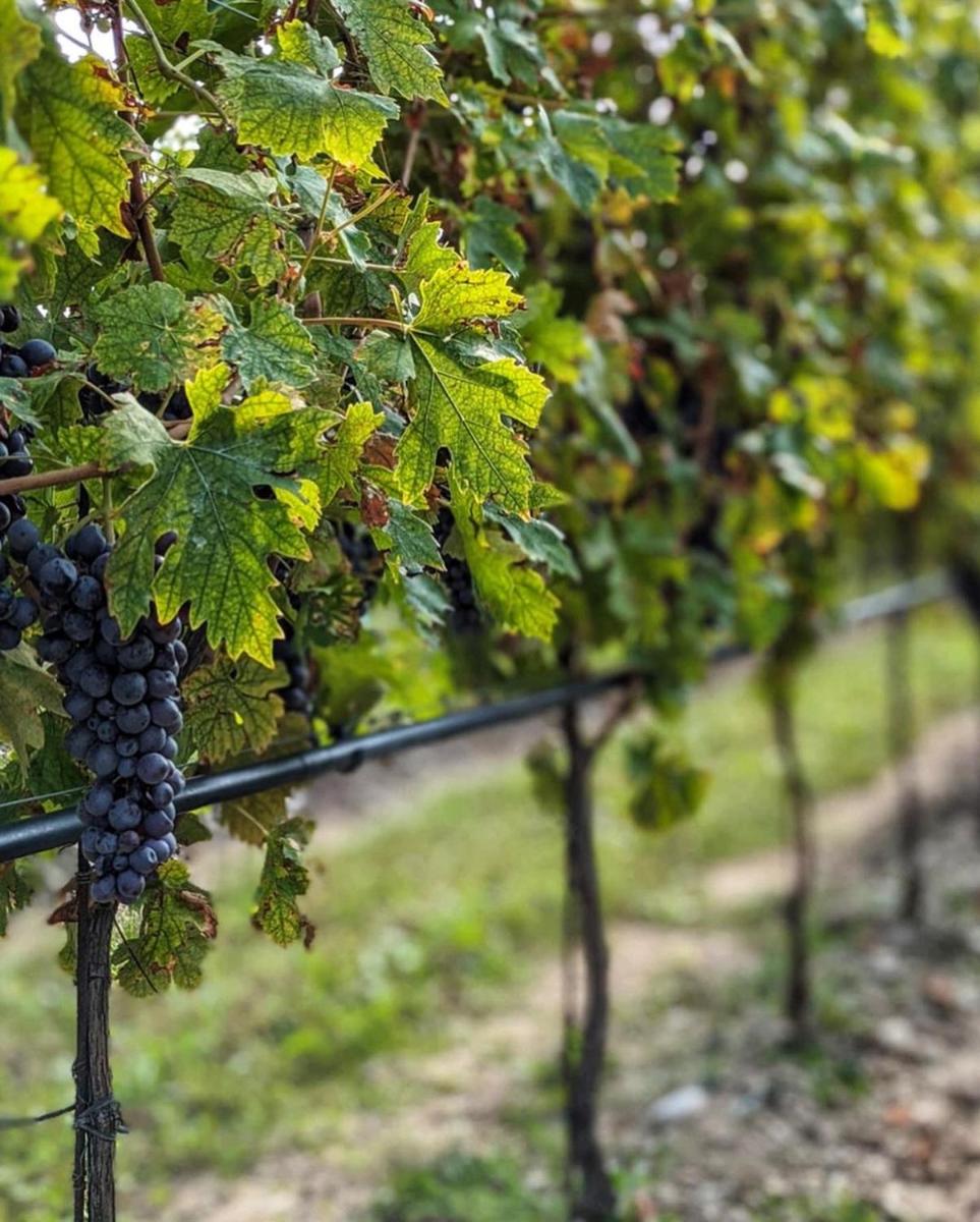 Natiia Relais - Adults Only