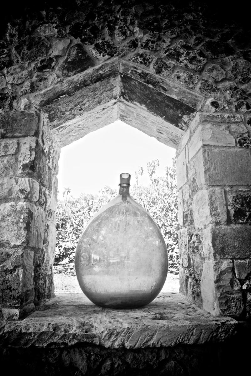 Naturalis Bio Resort