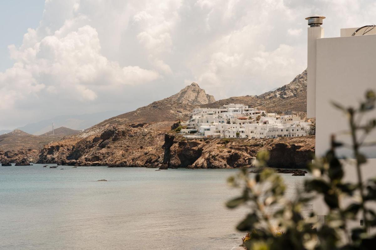 Naxos Rhyton