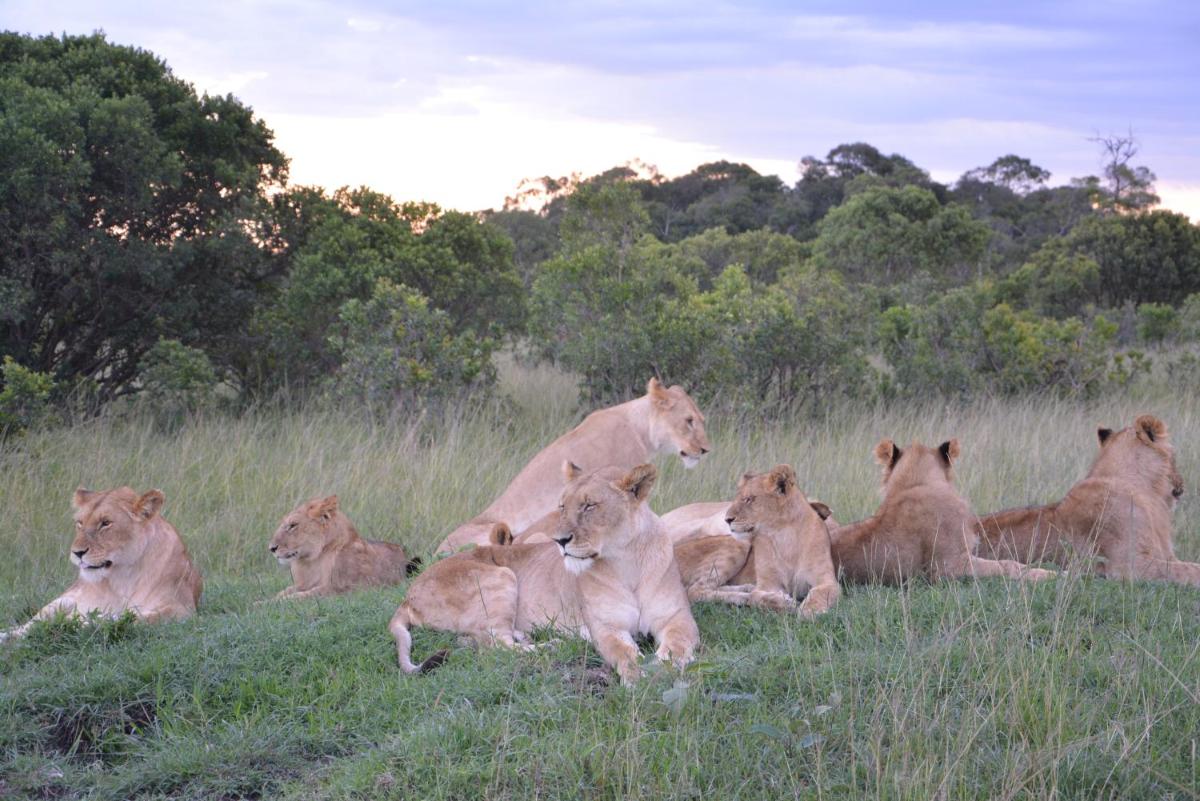 Neptune Mara Rianta Luxury Camp - All Inclusive.