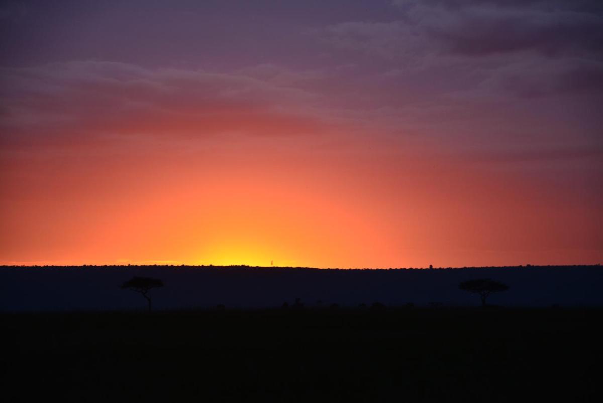 Neptune Mara Rianta Luxury Camp - All Inclusive.