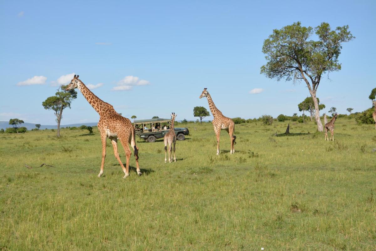 Neptune Mara Rianta Luxury Camp - All Inclusive.