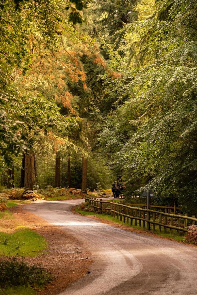 New Park Manor Hotel