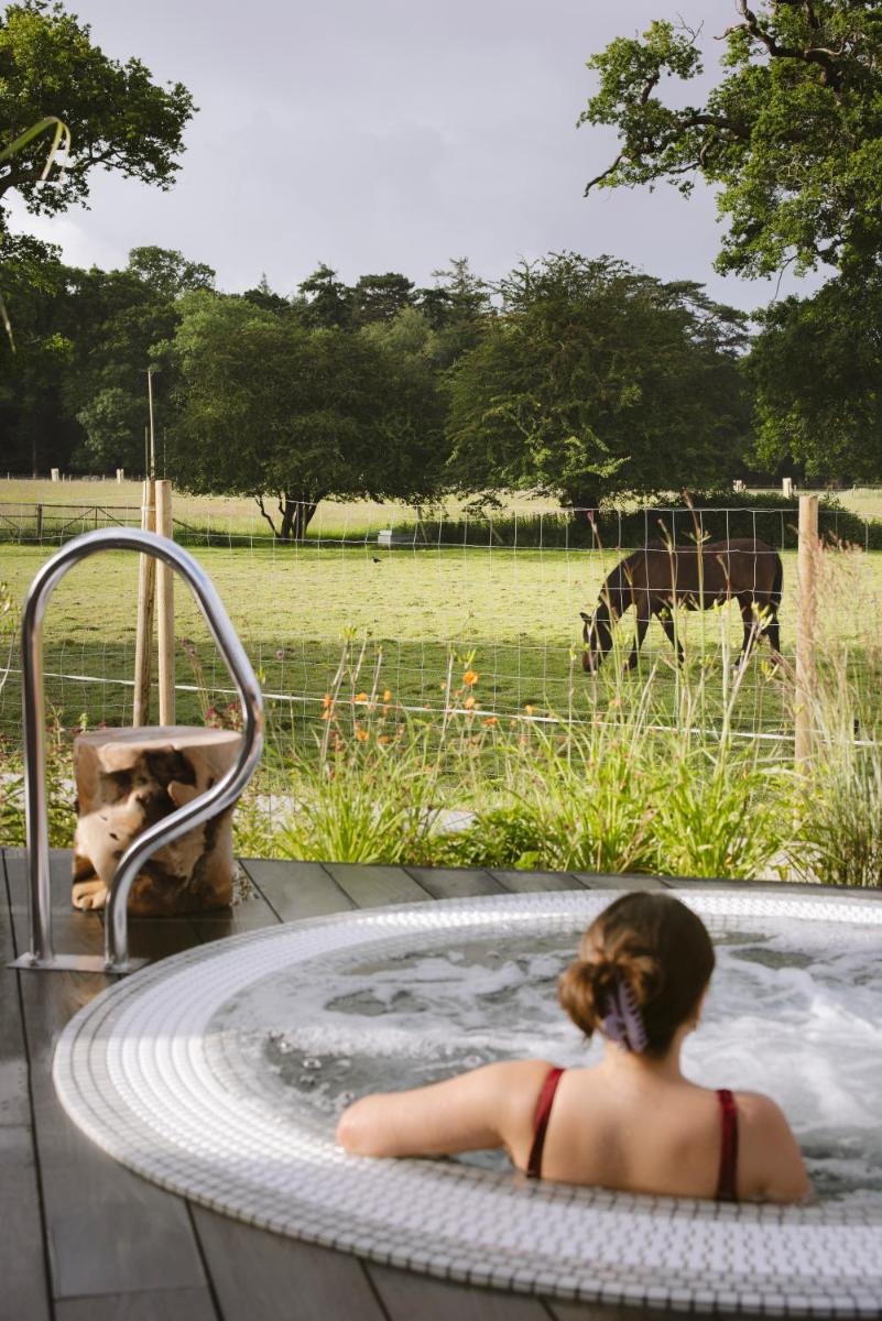 New Park Manor Hotel