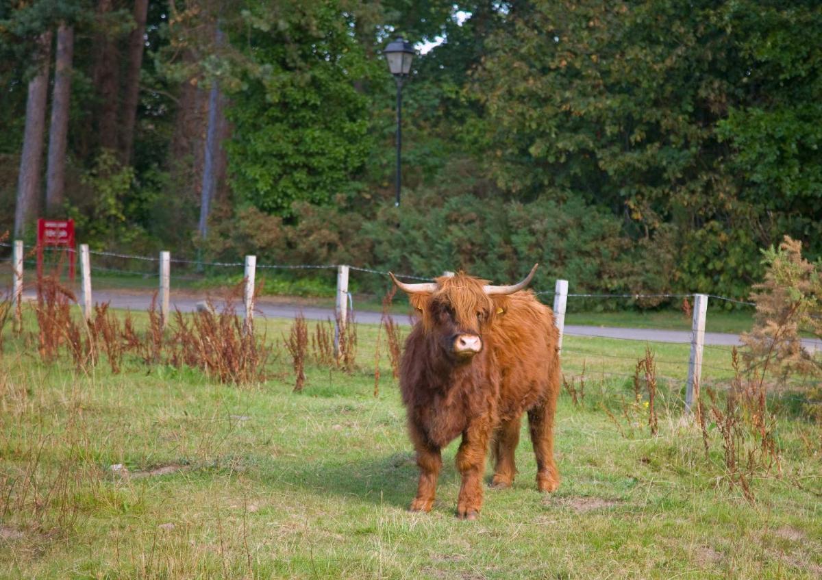 Muthu Newton Hotel (Near Inverness Airport)