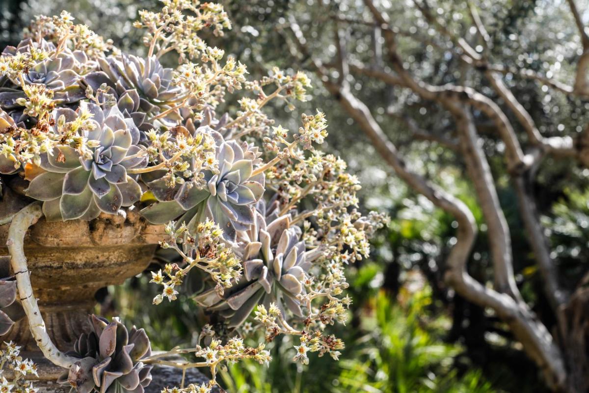 Ngonia Bay Boutique Hotel