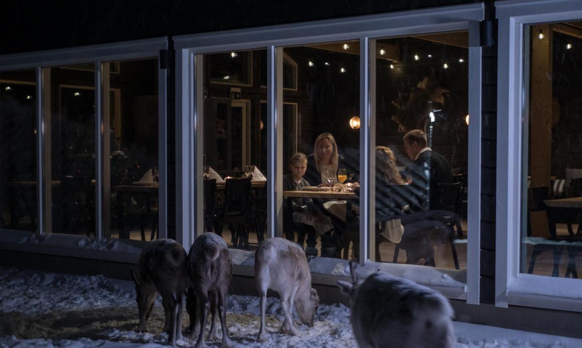 Northern Lights Ranch