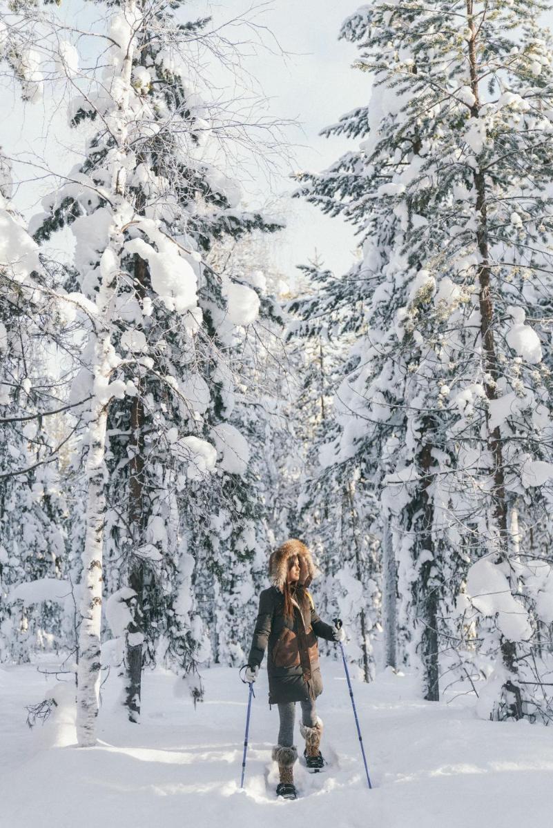 Northern Lights Ranch