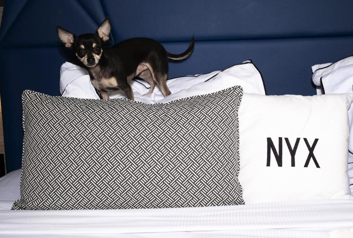 NYX Esperia Palace Hotel Athens by Leonardo Hotels