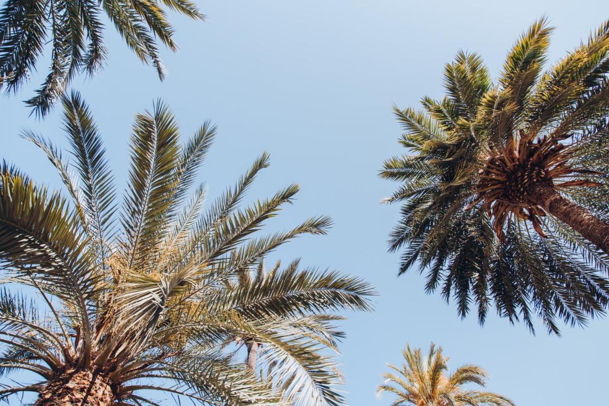 Ocho Suites & Kitchen