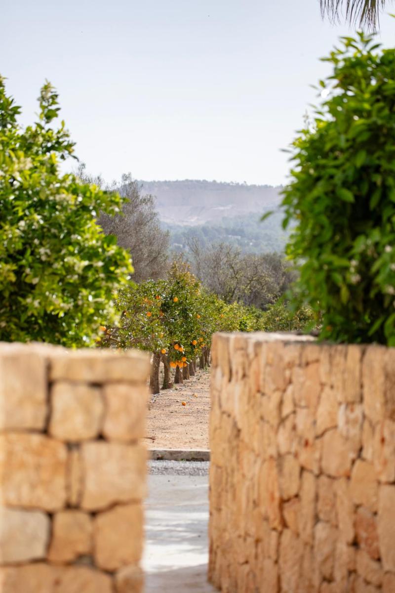 Can Jaume Private Villas by Ocean Drive