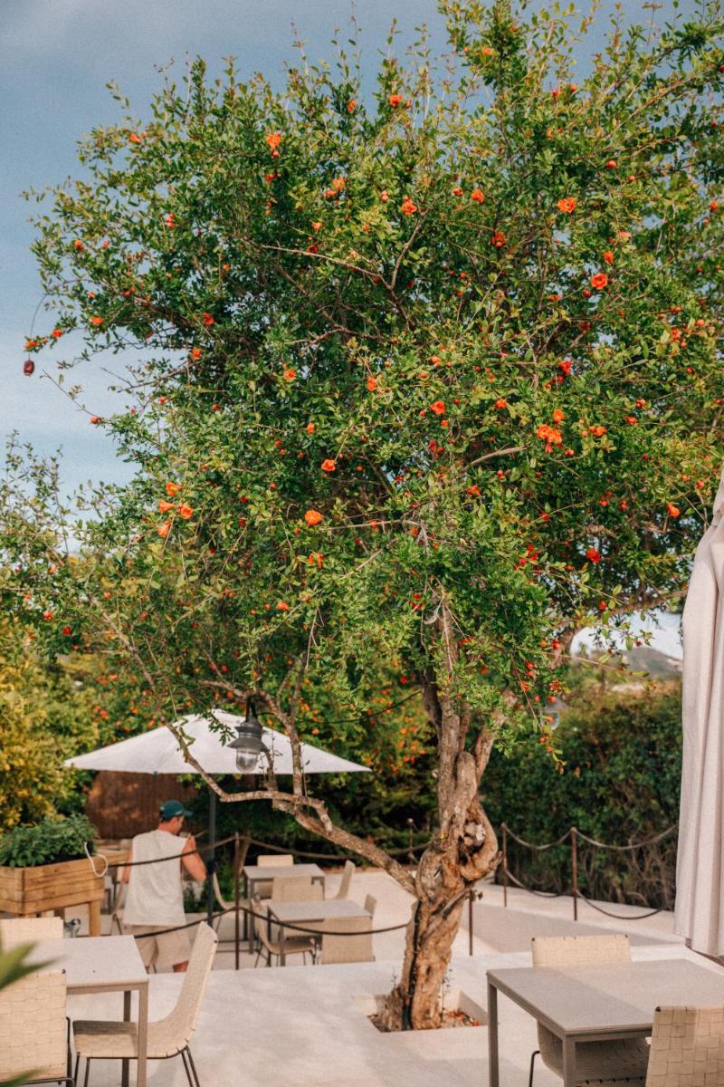 Can Jaume Private Villas by Ocean Drive