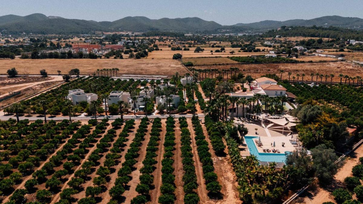 Can Jaume Private Villas by Ocean Drive