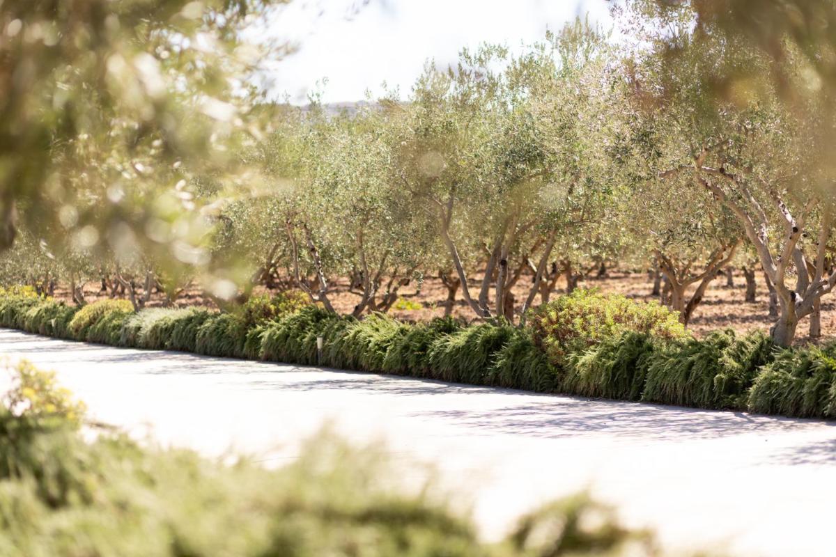 Oikos in Terre di Zaccanello