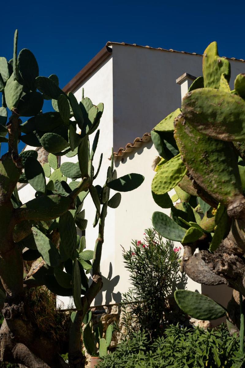 Oikos in Terre di Zaccanello