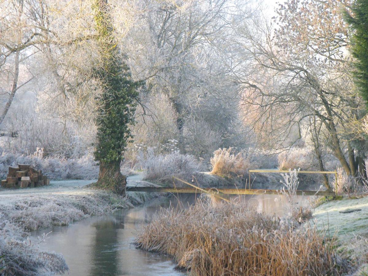 Old Swan