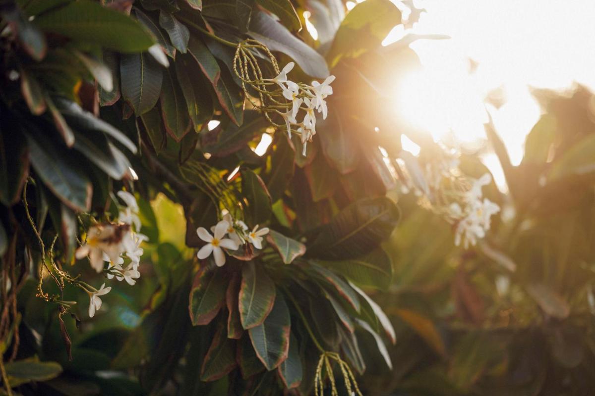 One&Only The Palm Dubai