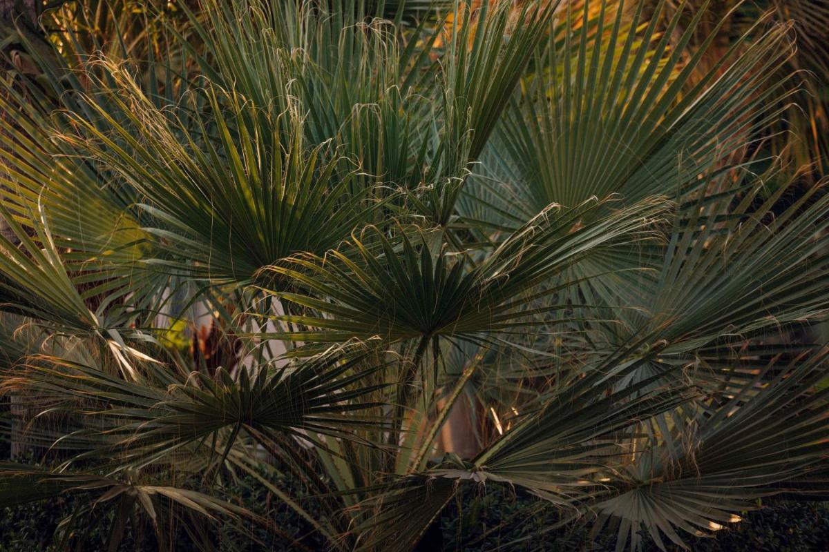 One&Only The Palm Dubai