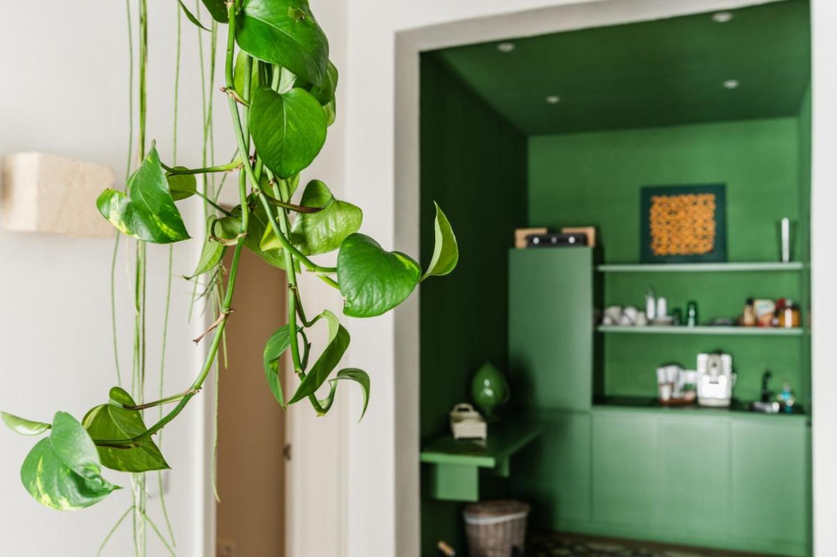 Orazio33 b&b