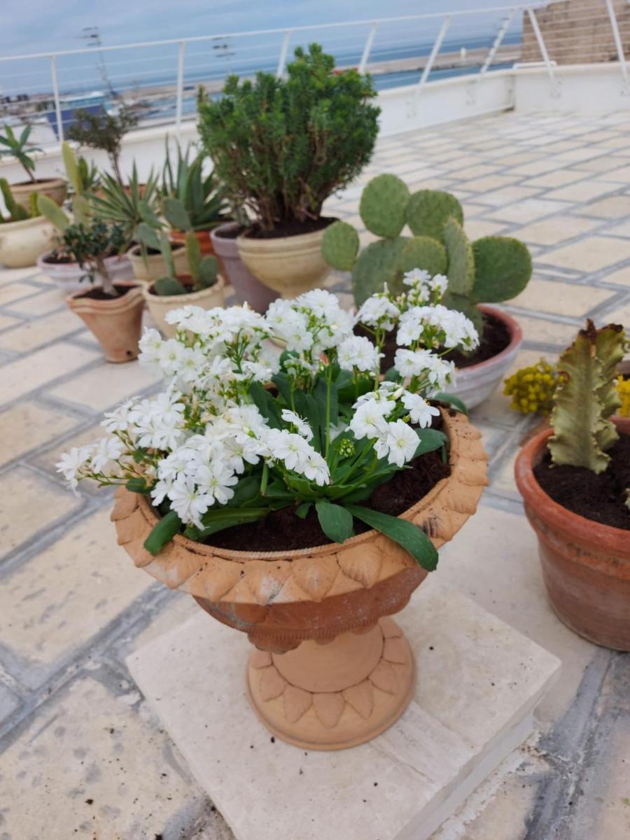 Orazio33 b&b