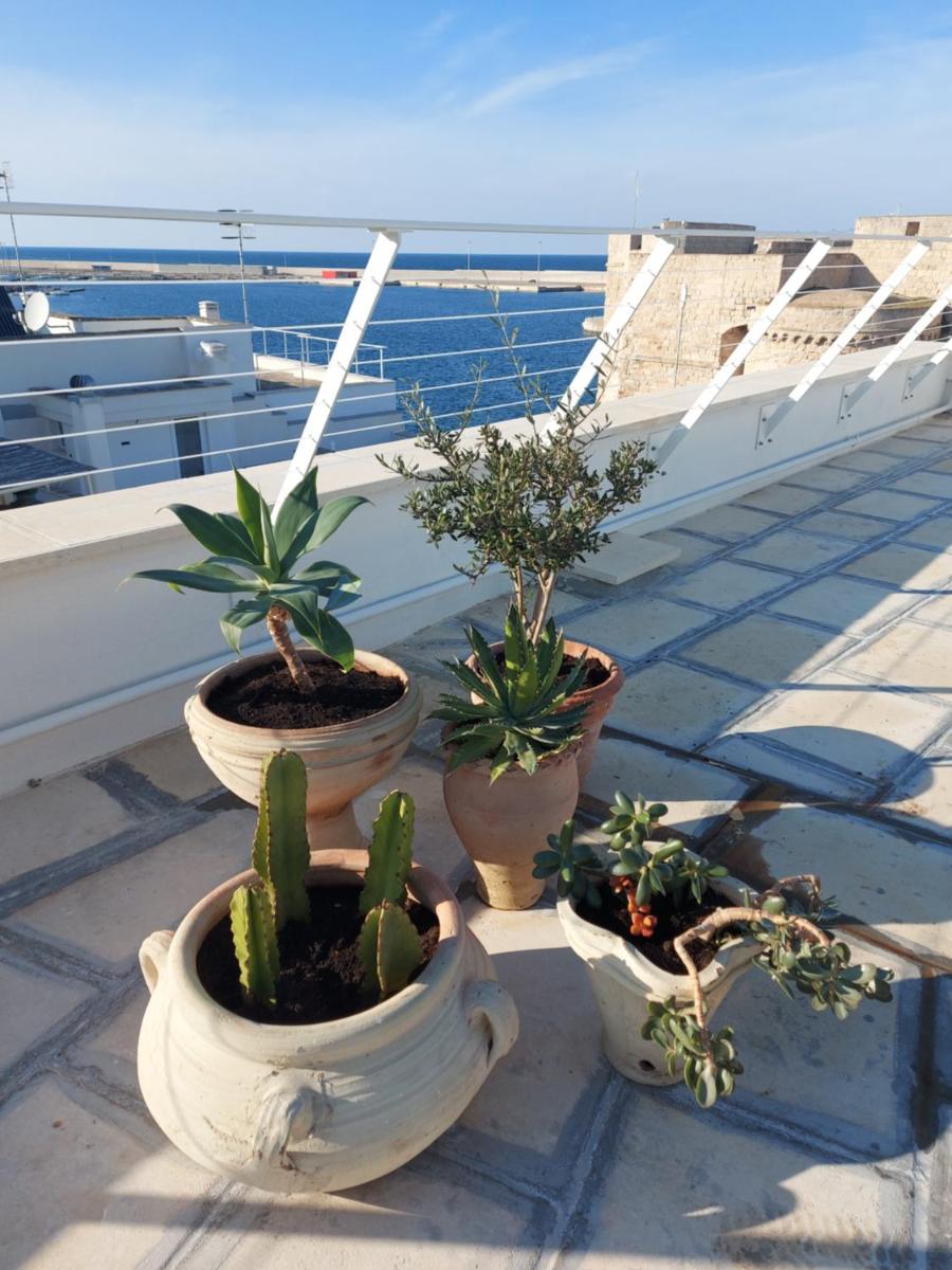 Orazio33 b&b