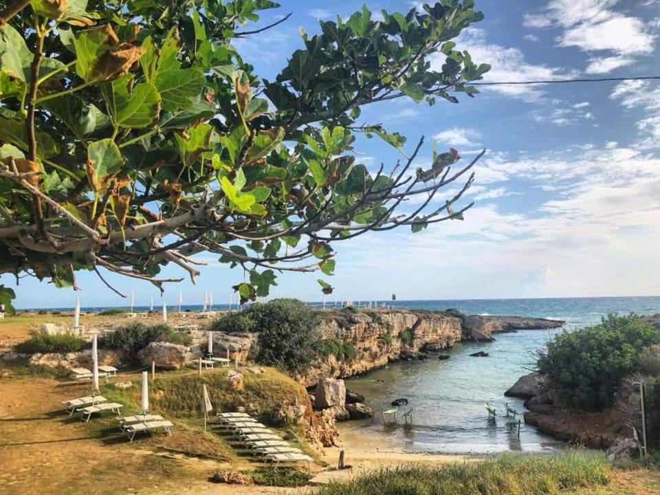 Orazio33 b&b