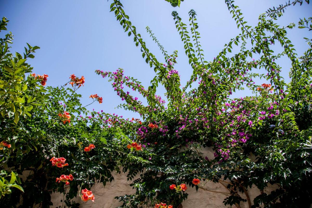 Orloff Boutique Hotel