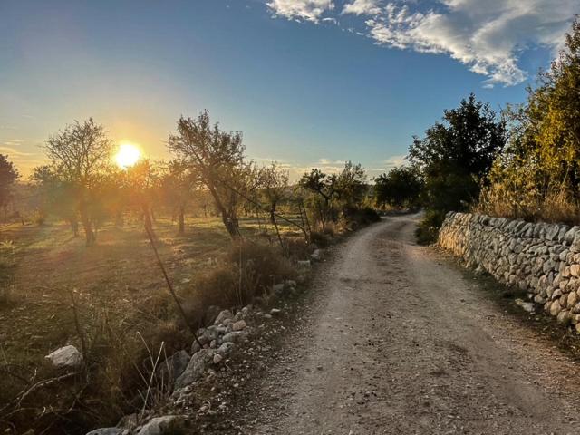 ORTO NOTO - Agri Resort