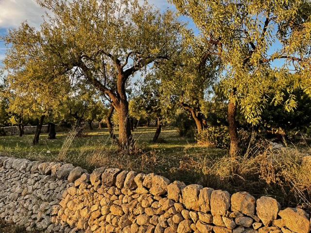 ORTO NOTO - Agri Resort