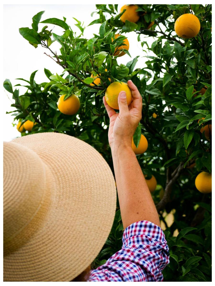 ORTO NOTO - Agri Resort