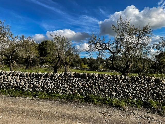 ORTO NOTO - Agri Resort