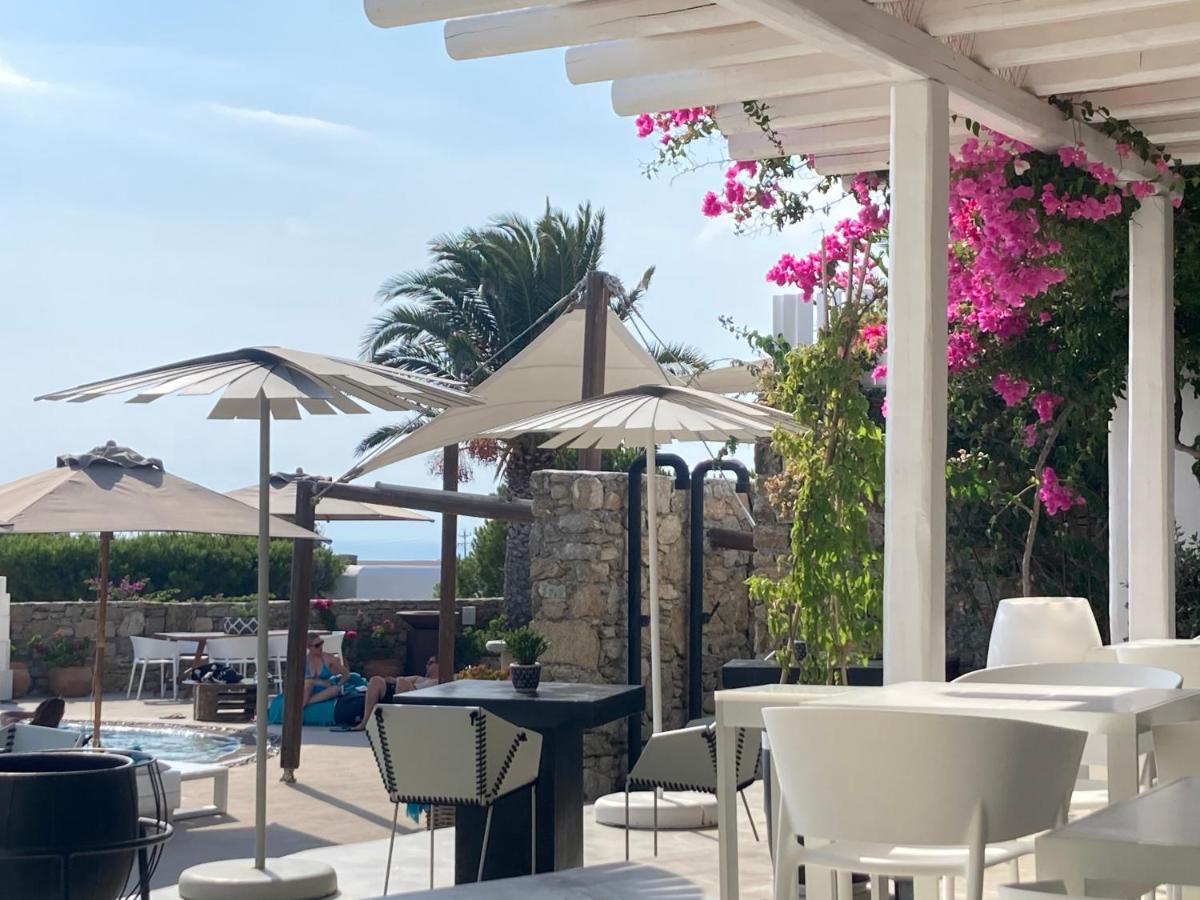 Ostraco Suites