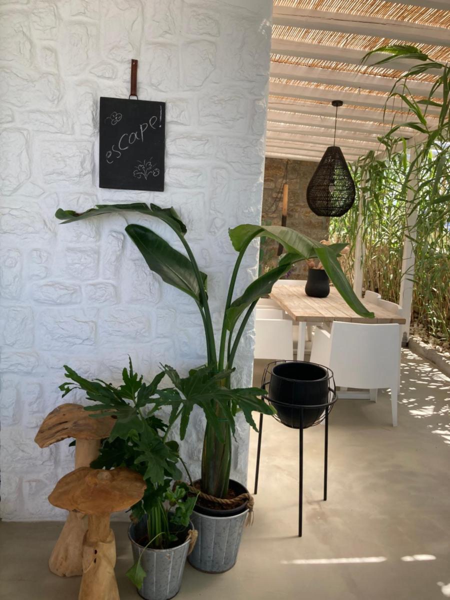 Ostraco Suites