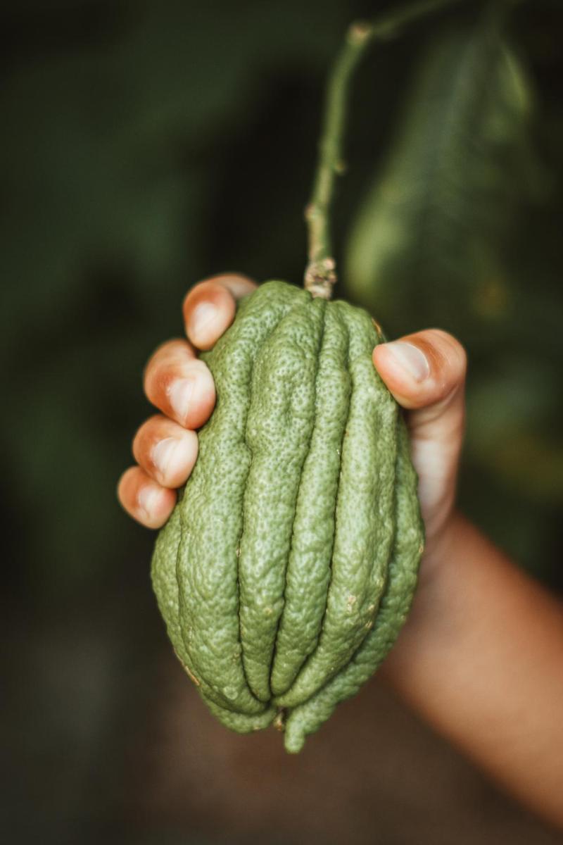 Ottmanngut Suite and Breakfast