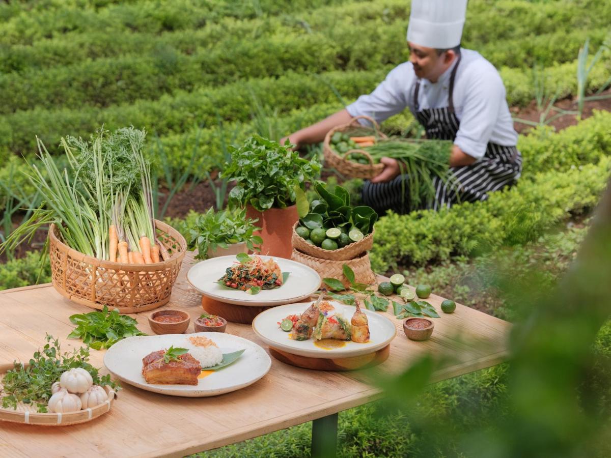 Padma Resort Ubud