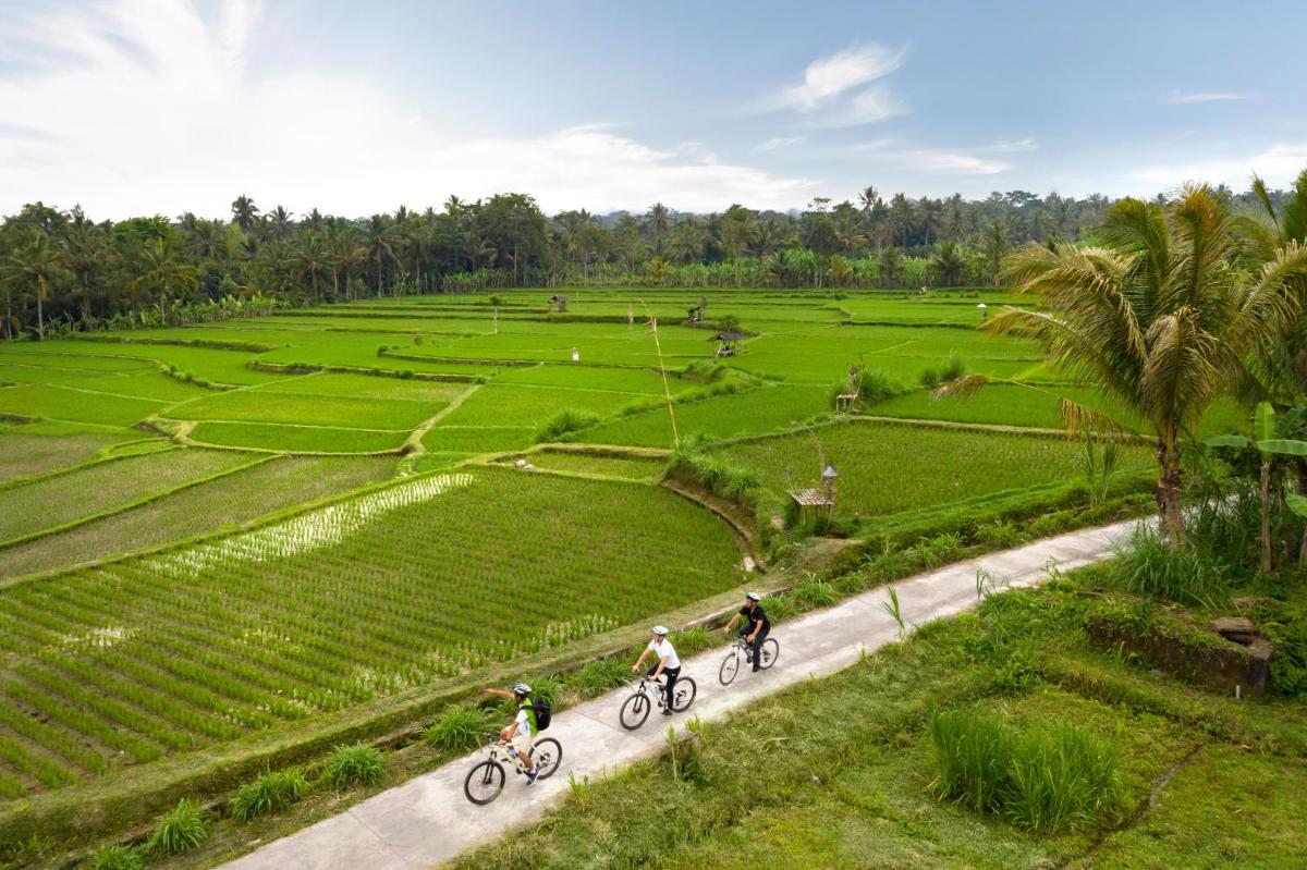 Padma Resort Ubud