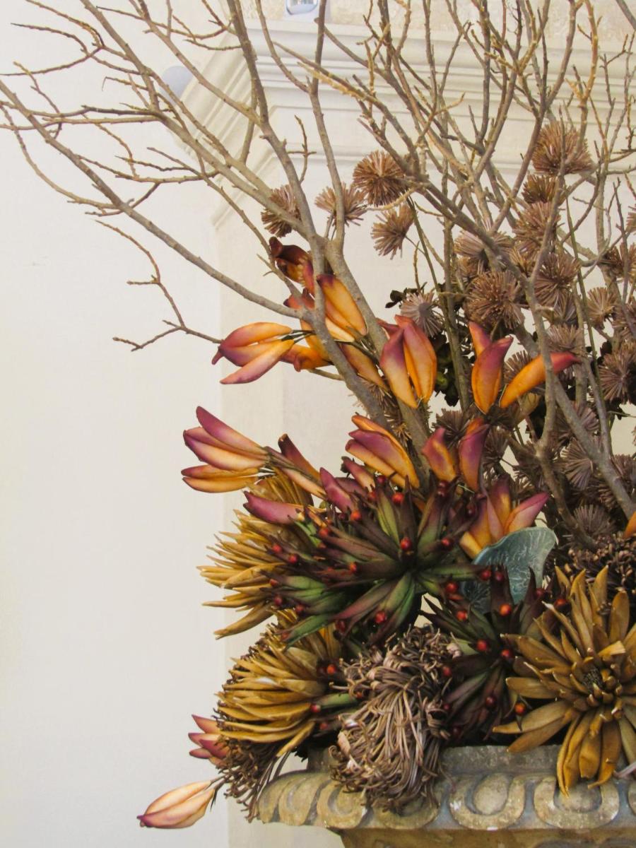 Palazzo Conti Camere & Suites