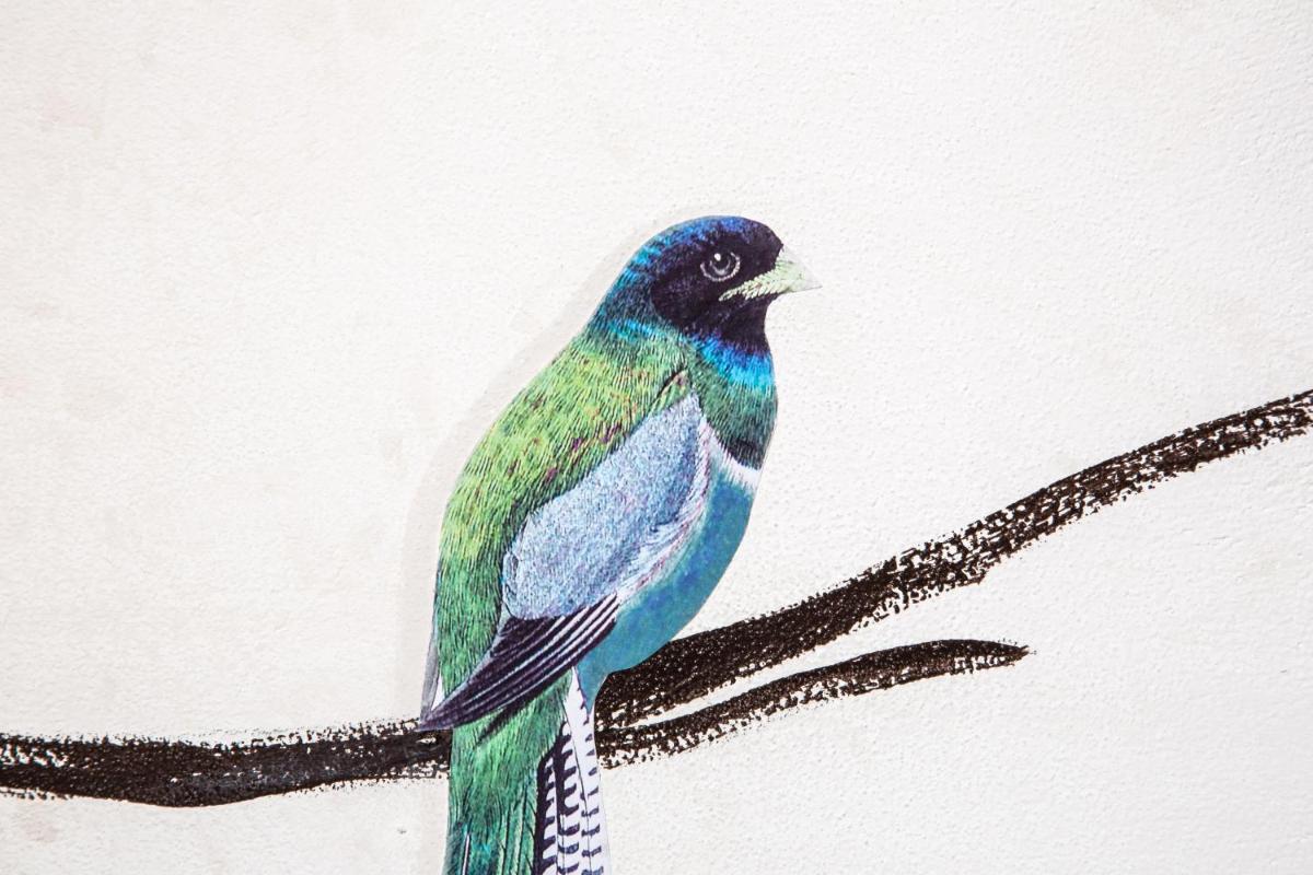 Palazzo Conti Camere & Suites