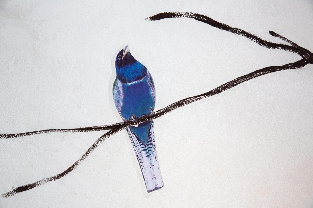 Palazzo Conti Camere & Suites