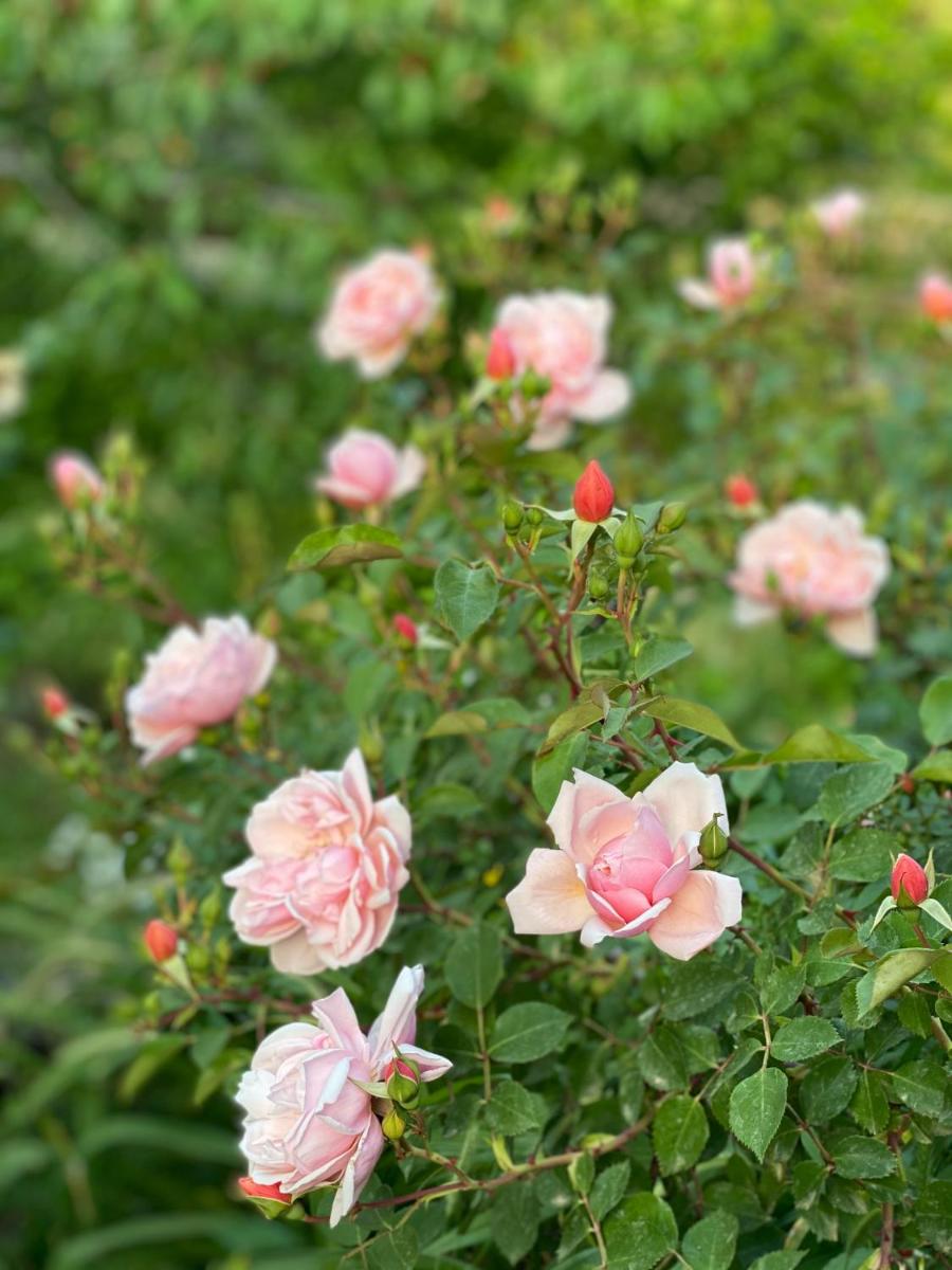 Palazzo Previtera Hotel & Restaurant