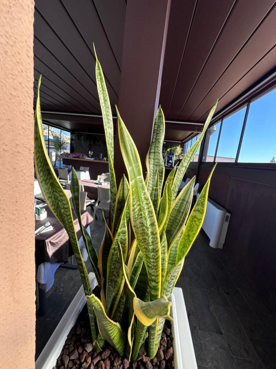 PALAZZO SANTAMARINA Luxury Suite & Spa