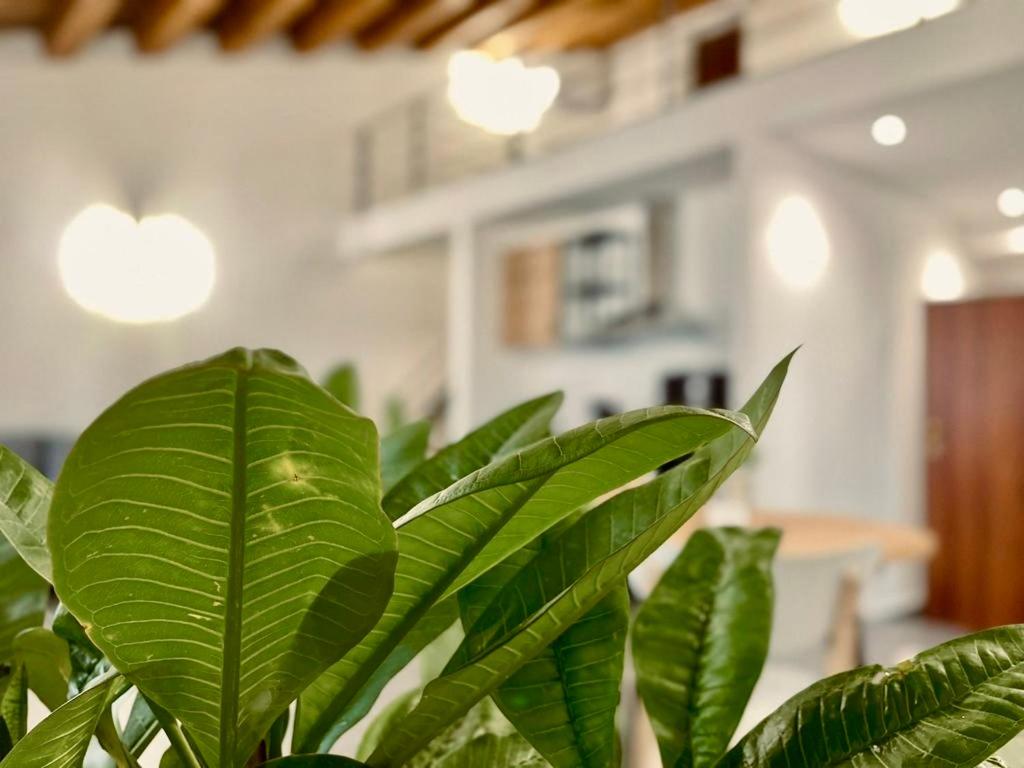 Palermo Inn Boutique Arte