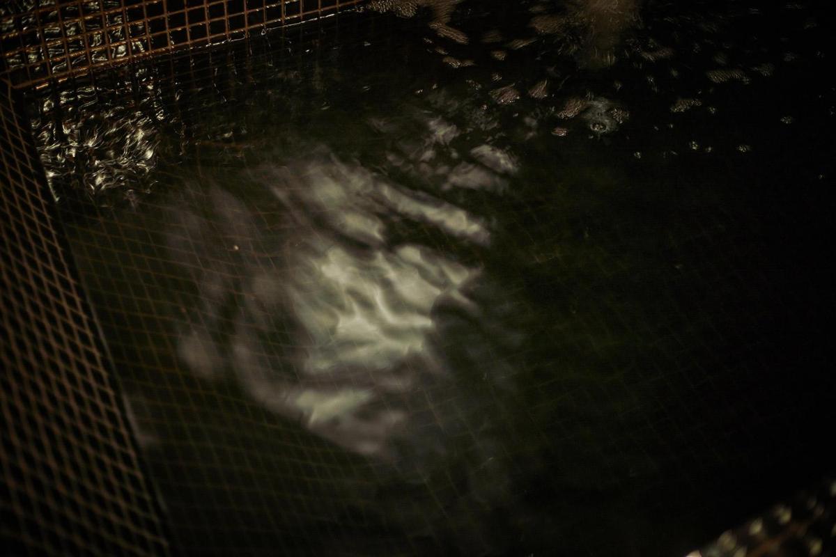 Palma Riad - Adults Only