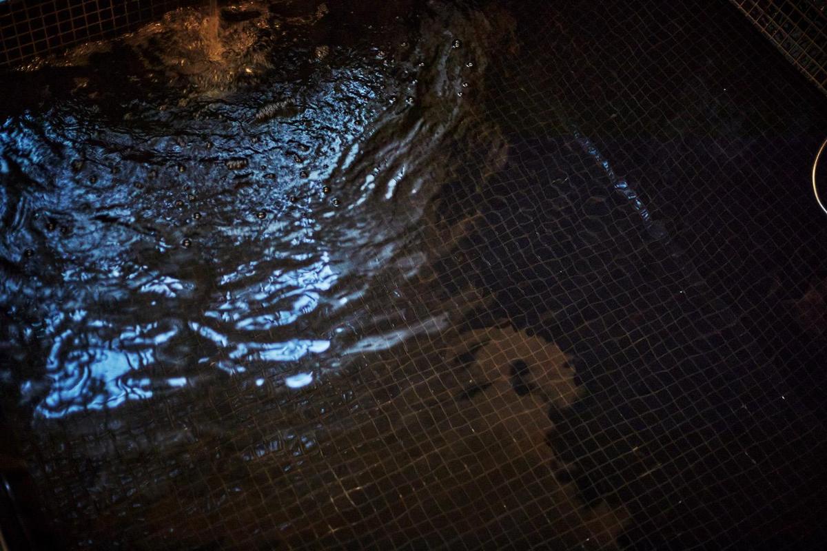 Palma Riad - Adults Only