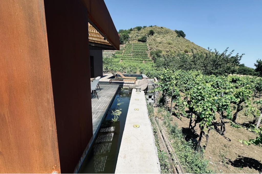 Palmento San Nicolò