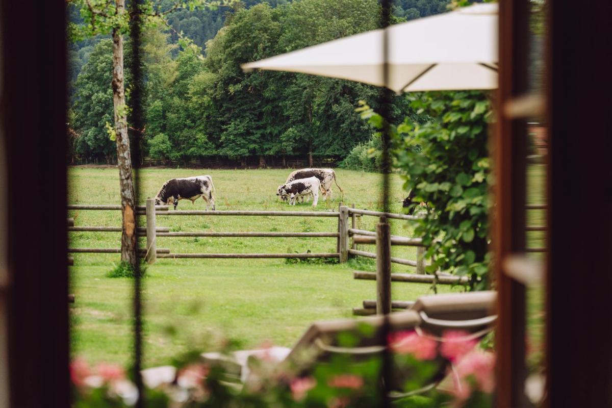 Parkhotel Egerner Höfe