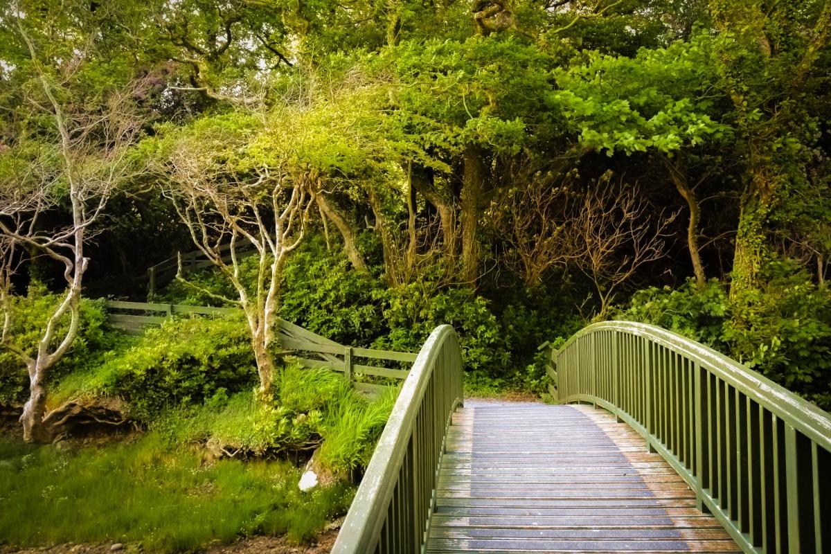 Parknasilla Resort & Spa